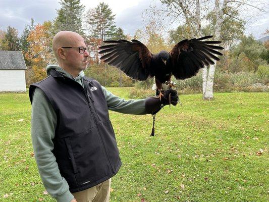 Green Mountain Falconry School