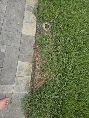 Lawn Doctor of Pinellas Park-St. Petersburg