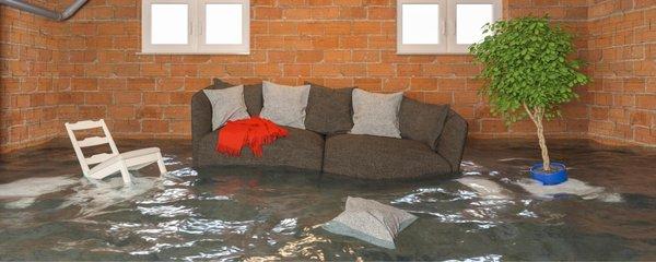 Revive Water Damage Restoration of Orlando