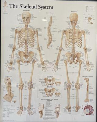 First Care Concussion Diagnostic Clinic