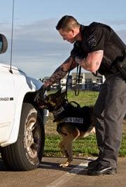 Elite Tactical K9 Security, LLC