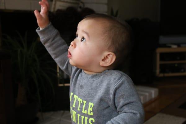 Little Panda Family Day Care