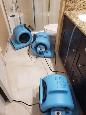 ServiceMaster Restore by Masters