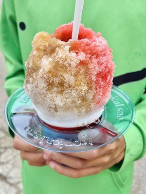 Tropical Sno
