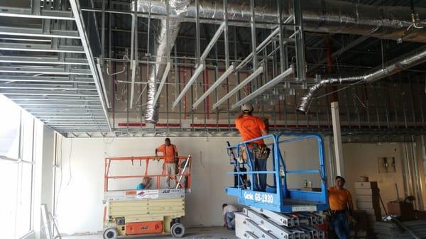 Nicholas Acoustics & Specialty Co