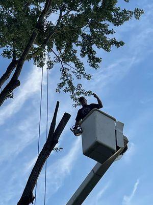 Mountain Top Tree Service