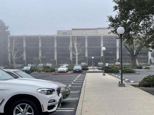 Alan J Fisher, MD FACS