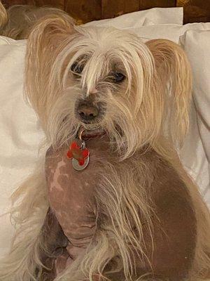 Calvary Baptist Church