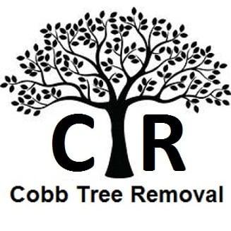 Cobb Tree Removal