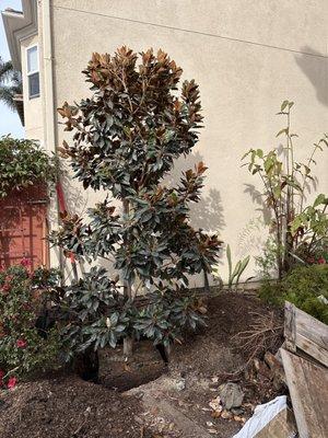 Eduardo's Landscaping And Tree Services