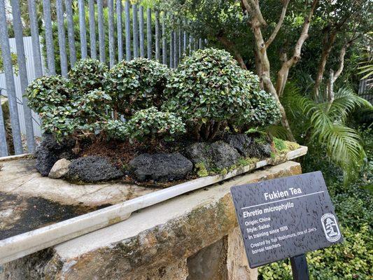 Heathcote Botanical Gardens