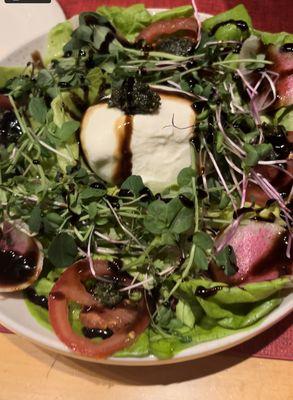 Homemade burrata salad with homemade pesto, microgreens and marinated radish and carrot