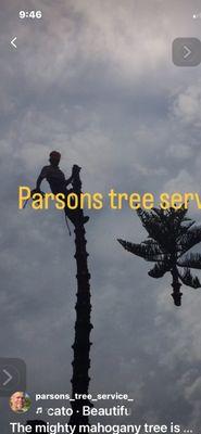 Parsons Tree Service