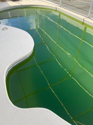 Orlando Vacation Rental Services