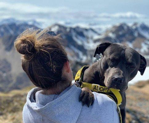 Kodiak Animal Shelter