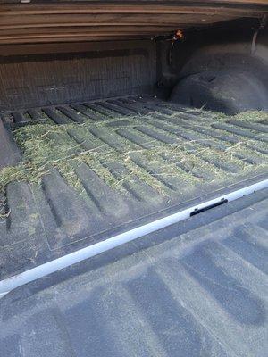 Hay in the bed