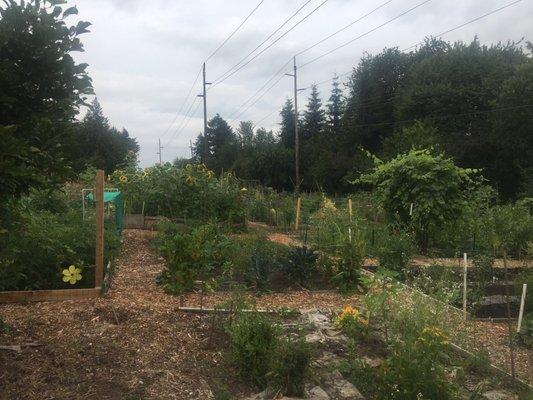 Fulton Community Gardens