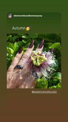 Essence Nail Studio - Cypress Village