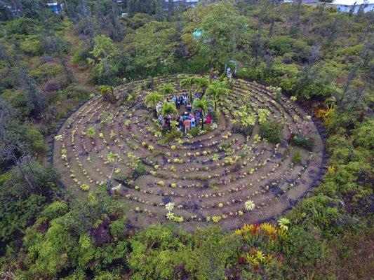 Awapuhi Labyrinth