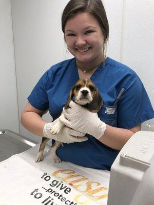 Needville Animal Hospital