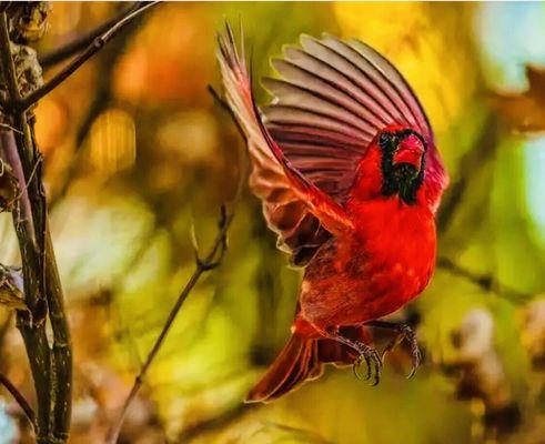 "Throw yo' hands in the air and wave 'em like you just don't care."-OutKast