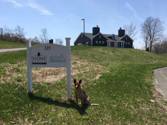 Pet Passages - Southbury, CT