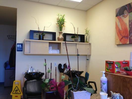 Anita Hair Salon wash station