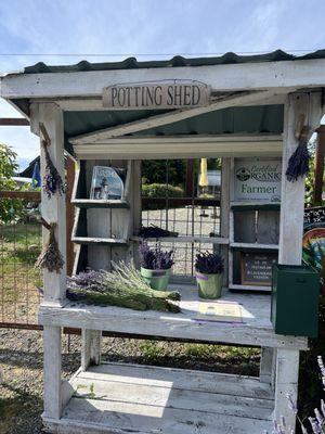 Lavender Hill Farm