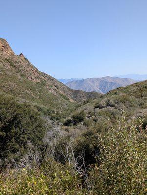 Pacific Crest Trail At Penny Pines