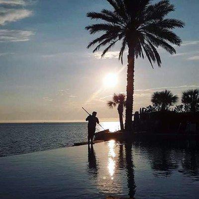 The Pool Shark Pool & Spa