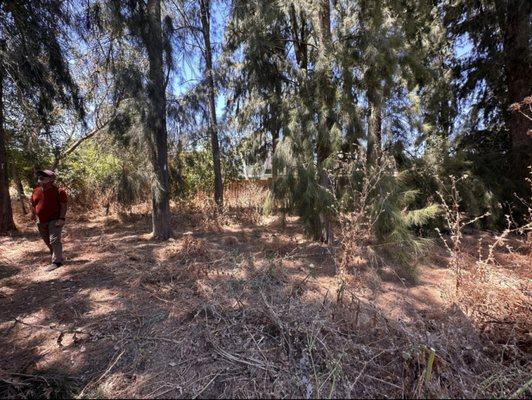 Nationwide Environmental