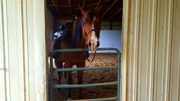 Shenck Training Center