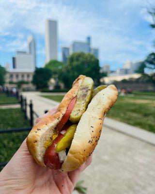 Chicago dog