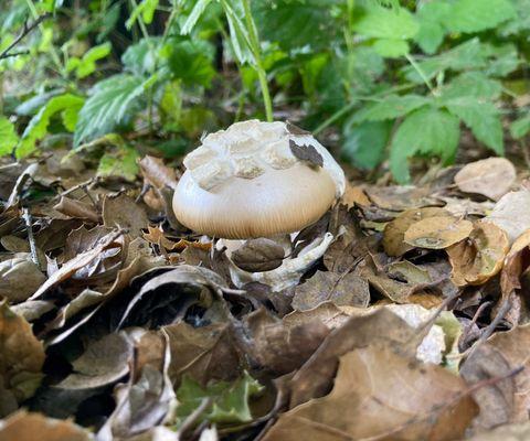 Moss Landing Wildlife Area
