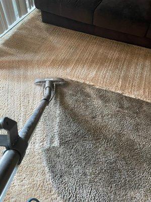 Monster Steamer Carpet Cleaning