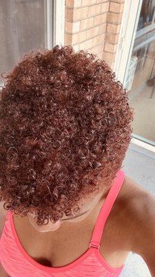 Color Name: Intense Copper Blond Hair Color Goal: Bright Auburn