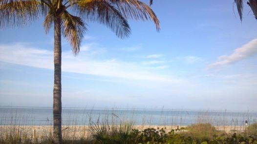 Blue Dolphin Cottages