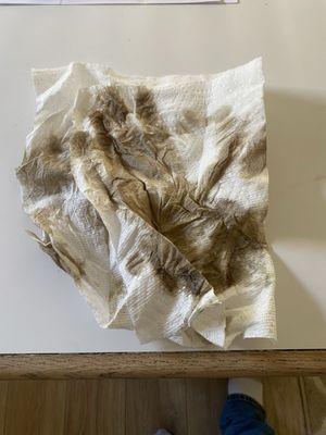 Sparkling Chey’s Cleaning