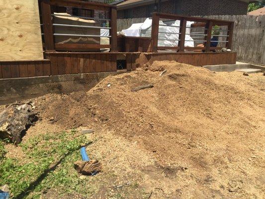 Rocky's Stump Removal