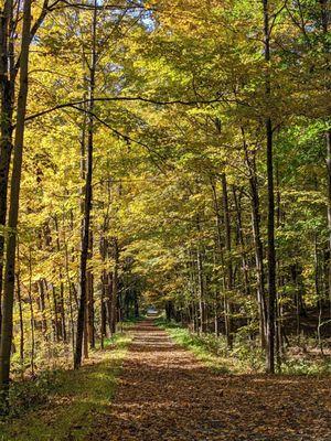 Hyde Park Trails Roosevelt Farm & Forest