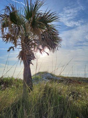 Limbaugh Electrical Contracting Inc