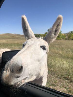 Keystone Trading Post