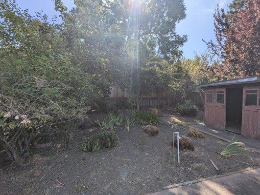 Perez's Landscaping & Gardening Services