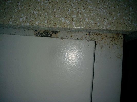 Move-in conditions: Kitchen sink cabinet - not cleaned/painted + more roach poop.