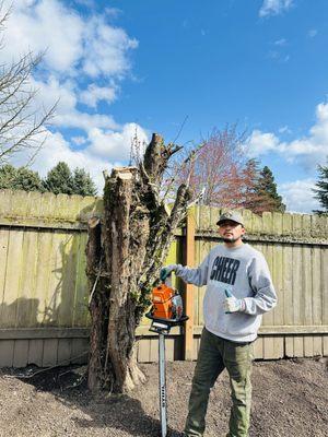 Land Love Landscaping