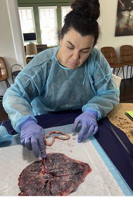 Nova Doula & Lactation