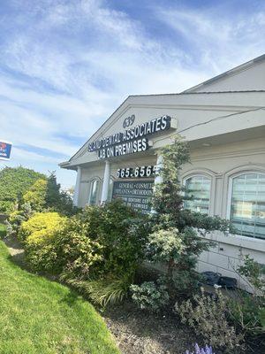 Island Dental Associates