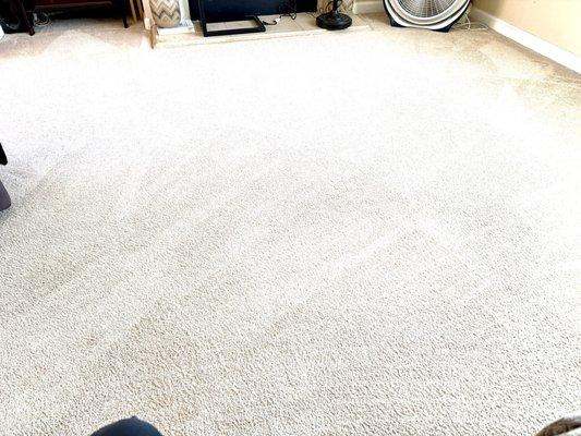 My carpet looks fresh & clean