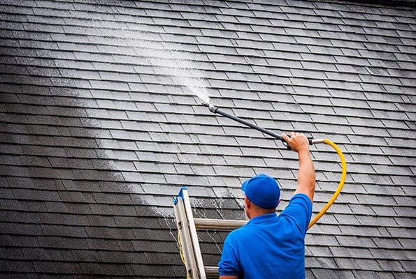 Roof Care