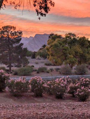 Sun City Summerlin Community Association